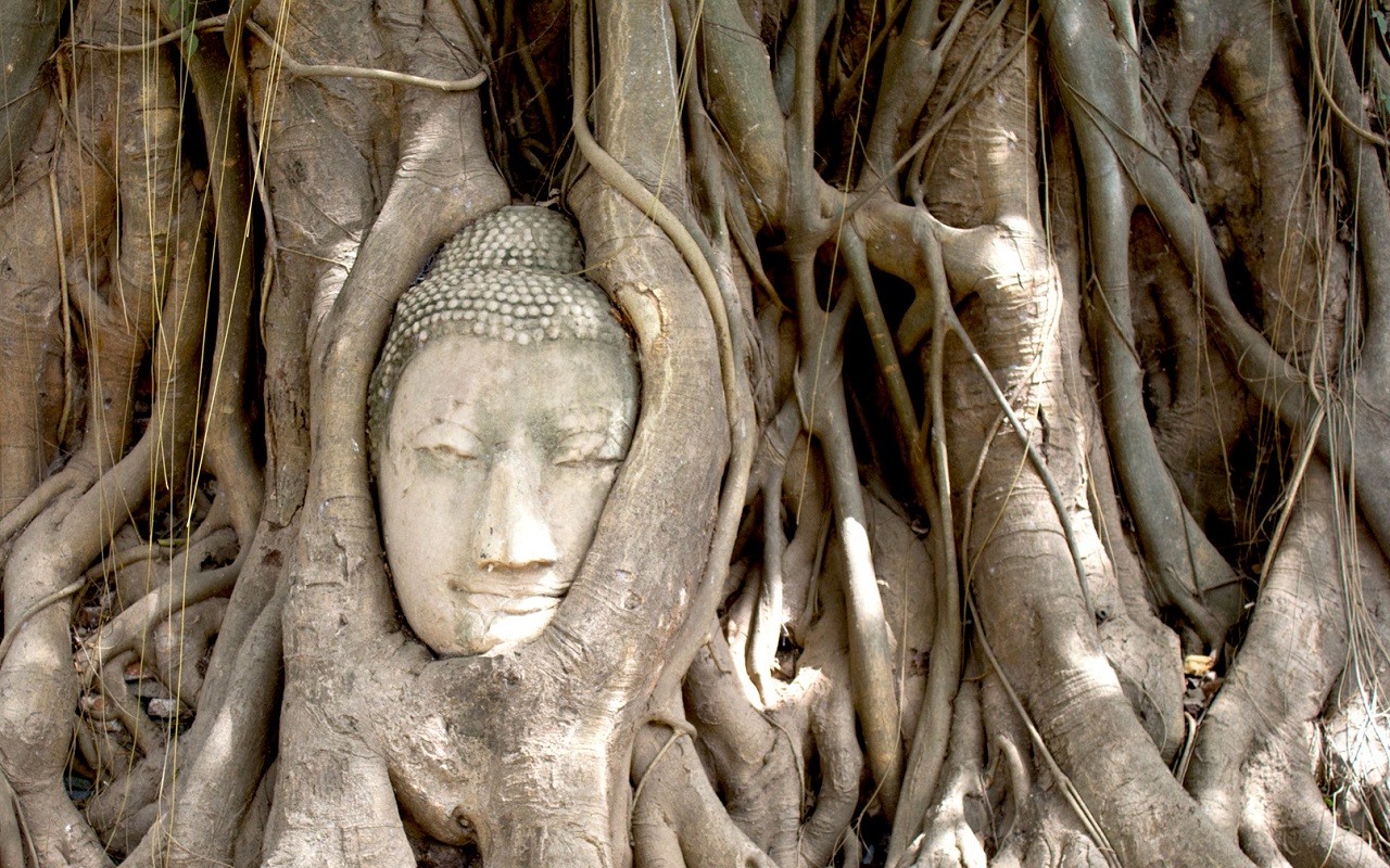 Ayutthaya Park