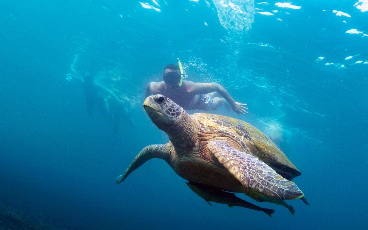 Koh Tao
